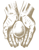 Image representing the value: Rūpes