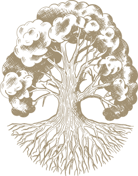 Image representing the value: Saknes